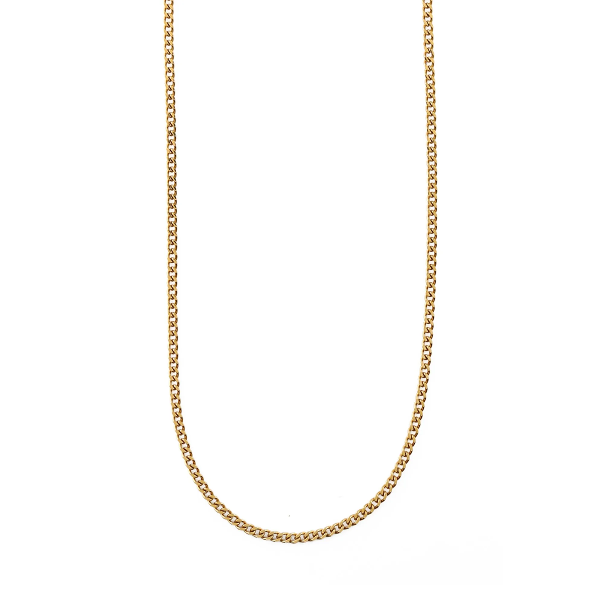 Fine Curb Chain Necklace - Gold