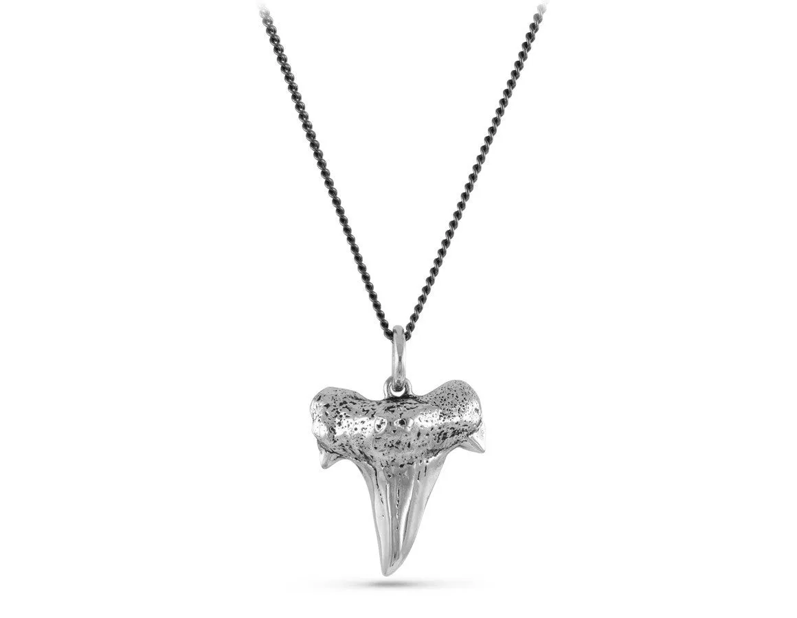 Shark Tooth Necklace - Silver